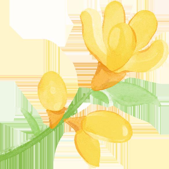 DƬ
